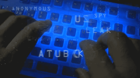 Gif of someone typing in hacker-y things
