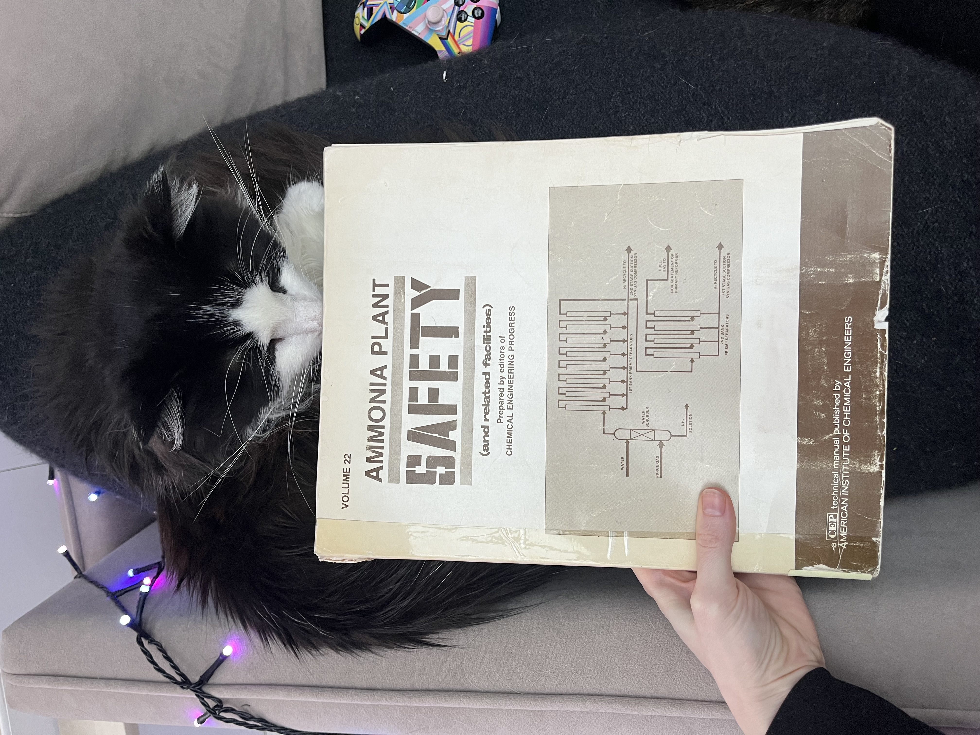 A photograph of a fluffy tuxedo cat sniffing an old, weathered copy of “Ammonia Plant Safety (and related facilities)” prepared by the editors of Chemical Engineering Progress and published by the American Institute of Chemical Engineers. Its cover is various shades of tan and beige and features an architecture diagram of a subsystem related to ammonia plants. In the background of the photograph, there are string lights in shades of pink, purple, and blue. The cat, in this case, is Chekov’s cat given he was mentioned earlier in this post.
