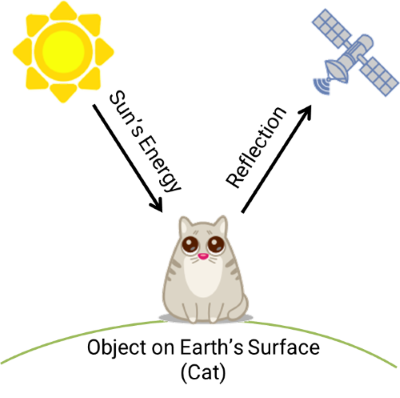 How remote sensing works, diagram by Kelly Shortridge