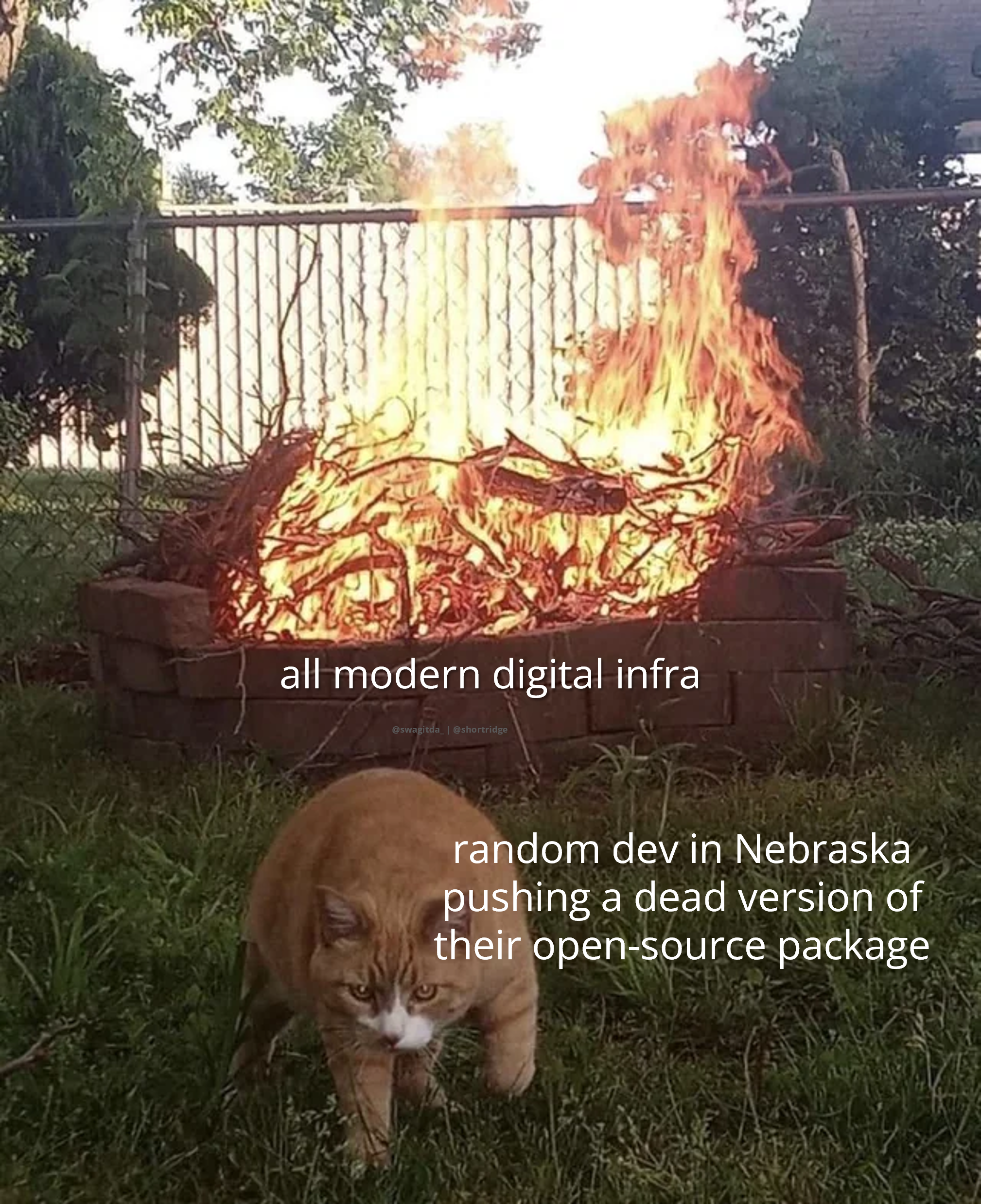 A photograph of a ginger cat sauntering away from a large fire behind it. The cat is labeled: random dev in Nebraska pushing a dead version of their open-source package. The fire is labeled: all modern digital infra.