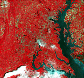 False color satellite imagery