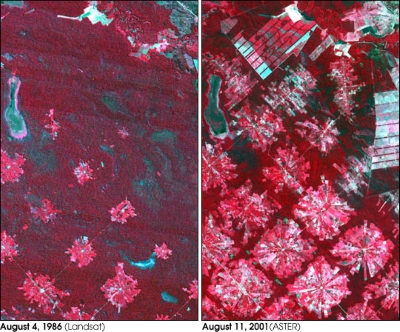 Imagery highlighting deforestation