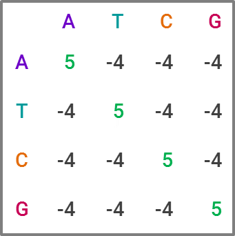 An illustration of a substitution matrix for DNA sequence analysis, by Kelly Shortridge